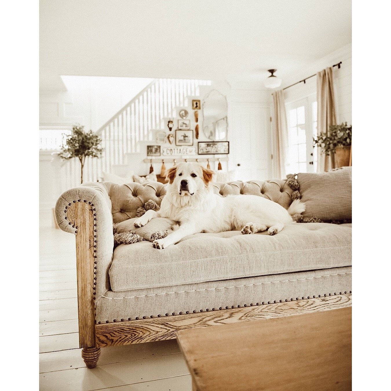 Park Hill Collections Country French Hillcrest Tufted Sofa EFS81664 - Image 12